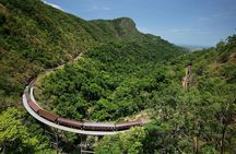Skyrail Rainforest Cableway Day Trip from Port Douglas