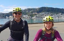 Wellington Guided eBike Tour-Cruise Shore Excursion