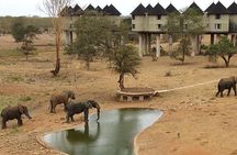 3 Days 2 Nights Tsavo East Taita Hills Game Sanctuary on Stilts