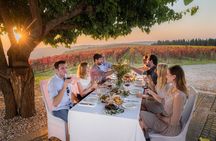 TOP TRUFFLES & WINE - Hunting & Tasting in Istria, Slovenia