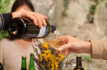 TOP TRUFFLES & WINE - Hunting & Tasting in Istria, Slovenia