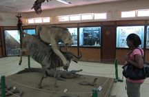 1 Day Kisumu City Tour(minimum 2 Pax)