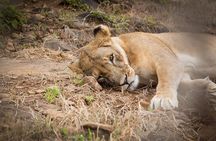 1 Day Kisumu City Tour(minimum 2 Pax)