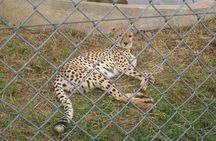 1 Day Kisumu City Tour(minimum 2 Pax)