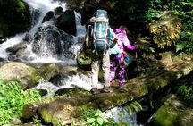 Kanchenjunga South Base Camp Trek - 13 Days