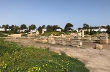 Historical Tour of Ancient Carthage
