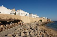 Cap Bon Guided Day Tour from Tunis