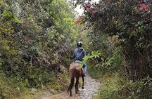 Andes Mountains Horseback Riding