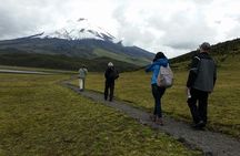 Cotopaxi Volcano & Devil’s Nose Train: 2-Day Private Tour 