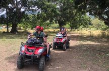 Shore Excursion: V.I.P. DayPass: ATV, Zip Lines, Horseback Riding & Lunch