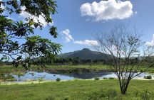 Shore Excursion: V.I.P. DayPass: ATV, Zip Lines, Horseback Riding & Lunch