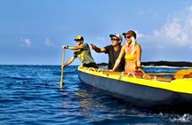 Wa'a Rides and Charters - Hawaiian Outrigger Canoe Excursions