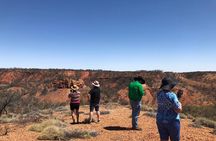 Dinosaur Stampede 3/4 Day Tour