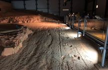 Dinosaur Stampede 3/4 Day Tour