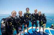 4-Day PADI Open Water Dive Course - Learn to Dive on the Great Barrier Reef