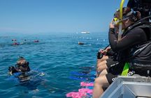 4-Day PADI Open Water Dive Course - Learn to Dive on the Great Barrier Reef
