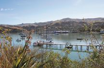 Akaroa Shore Excursion: Banks Peninsula, Christchurch City Tour and Sheep Farm Tour