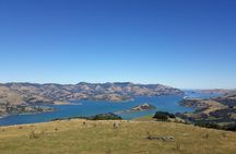 Akaroa Shore Excursion: Banks Peninsula, Christchurch City Tour and Sheep Farm Tour