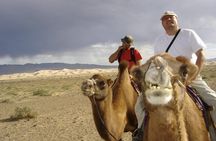 1 Day Semi-Gobi Tour Including Lunch And Free Camel +Bonus Khustai National Park