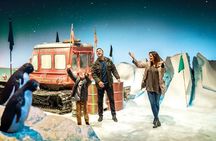Lyttelton Shore Excursion: Christchurch Sightseeing with Antarctic Center