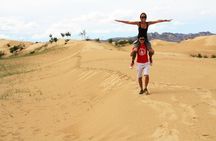 1 Day Semi-Gobi Tour Including Lunch And Free Camel +Bonus Khustai National Park