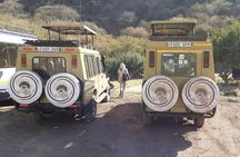 7 Day Tanzania visiting Arusha, Lake Manyara, Serengeti, Ngorongoro & Tarangire