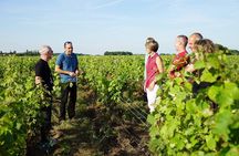 Morning - Loire Valley Wine Tour & Food Pairing, Vouvray