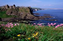 Dublin to Belfast Black Cab, Dunluce Castle and Giant's Causeway