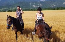 Horseback Riding In Bled