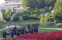 Horseback Riding In Bled