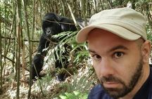 From Kigali: 10 Hour Day-trip Rwanda Gorilla Trekking with Lunch