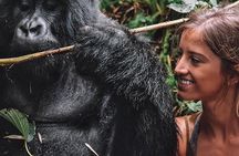 From Kigali: 10 Hour Day-trip Rwanda Gorilla Trekking with Lunch