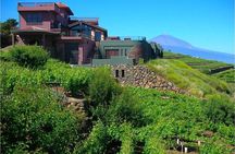 Bodegas Monje Winery Ticket w/Wine Tasting & Mojo Sauce Workshop