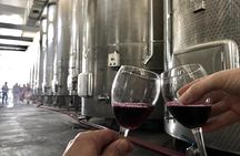 Kakheti-Sighnaghi Day Trip with wine tasting and Bodbe Monastery