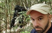 From Kigali: 2-Day Rwanda Gorilla Trekking Experience