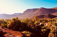 Private Full-Day Tour of Ouarzazate and Oasis Fint