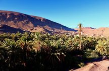 Private Full-Day Tour of Ouarzazate and Oasis Fint