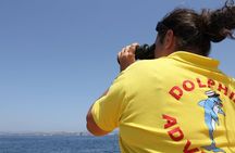 Gibraltar Dolphin Adventure