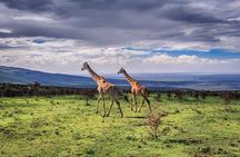 4 Days Tarangire Serengeti Ngorongoro Crater