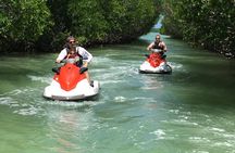 1.5 Hour (20 miles) Waverunner Tour. See Mangrove Tunnels, 20 Islands & SandBar