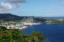 Fort Charlotte, Botanical Gardens and Kingstown Tours with Detention Tours