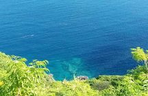 Fort Charlotte, Botanical Gardens and Kingstown Tours with Detention Tours
