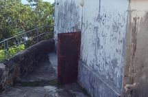 Fort Charlotte, Botanical Gardens and Kingstown Tours with Detention Tours