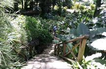 Pirates and Beach Tour with Detention Tours