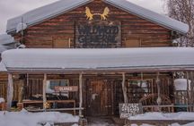 Arctic Circle Winter Drive Adventure