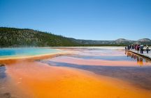 Best of Yellowstone Private National Park Safari Tour