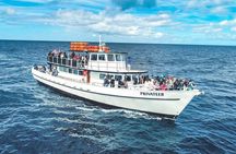 San Diego Whale Watching Tour 