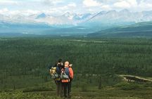 Denali Hiking Tour