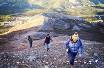 Denali Hiking Tour