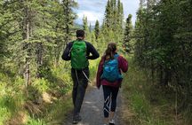 Denali National Park Walking Tour